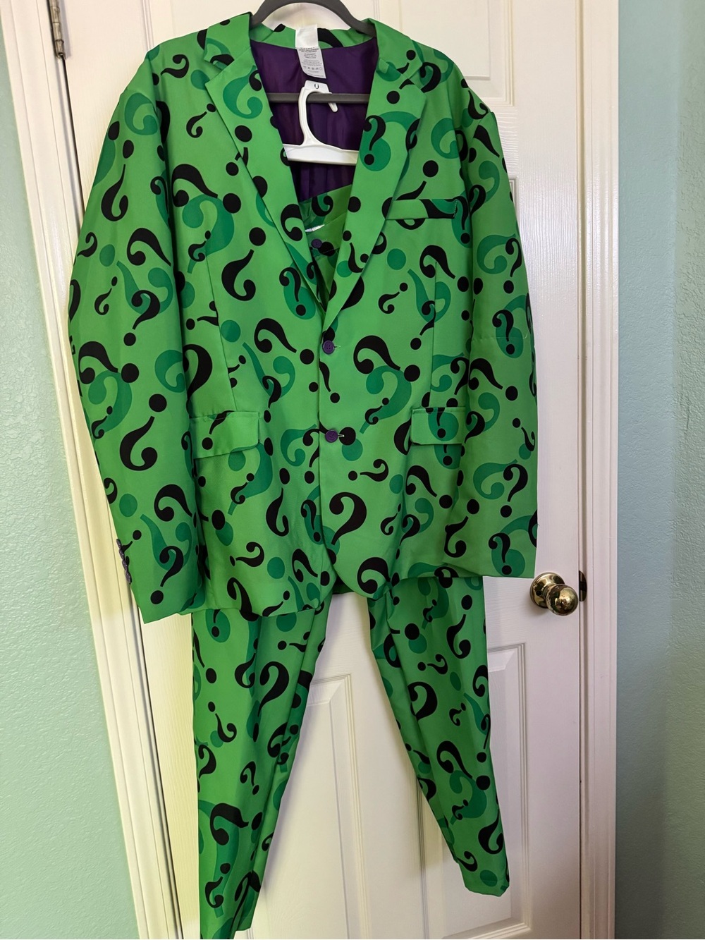 Spirit Purple and Green Costume Jacket with Black Print
